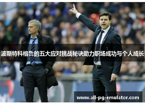 波斯特科格鲁的五大应对挑战秘诀助力职场成功与个人成长 波斯特科格鲁的五大应对挑战秘诀助力职场成功与个人成长