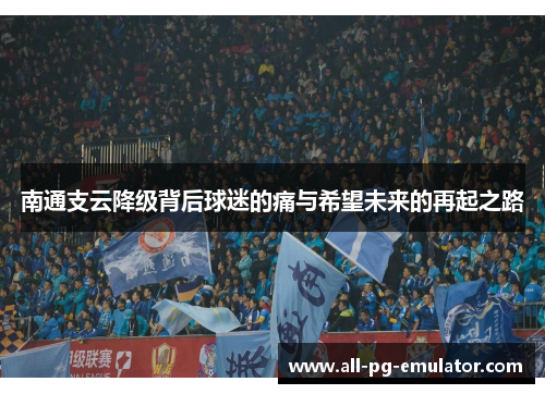 南通支云降级背后球迷的痛与希望未来的再起之路 南通支云降级背后球迷的痛与希望未来的再起之路