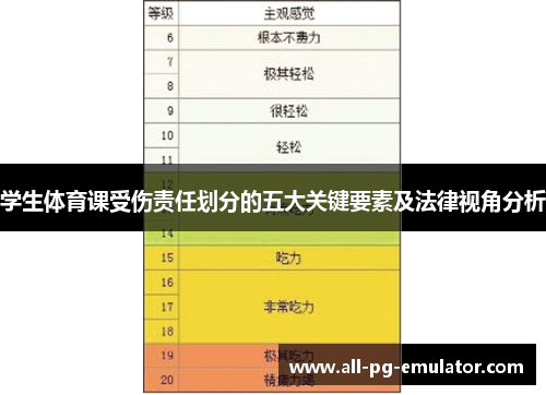 学生体育课受伤责任划分的五大关键要素及法律视角分析 学生体育课受伤责任划分的五大关键要素及法律视角分析