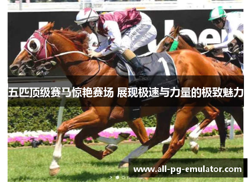 五匹顶级赛马惊艳赛场 展现极速与力量的极致魅力 五匹顶级赛马惊艳赛场 展现极速与力量的极致魅力