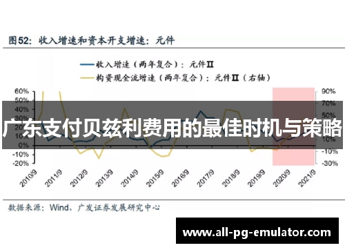 广东支付贝兹利费用的最佳时机与策略 广东支付贝兹利费用的最佳时机与策略