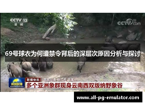 69号球衣为何遭禁令背后的深层次原因分析与探讨 69号球衣为何遭禁令背后的深层次原因分析与探讨