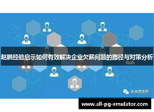 赵鹏经验启示如何有效解决企业欠薪问题的路径与对策分析