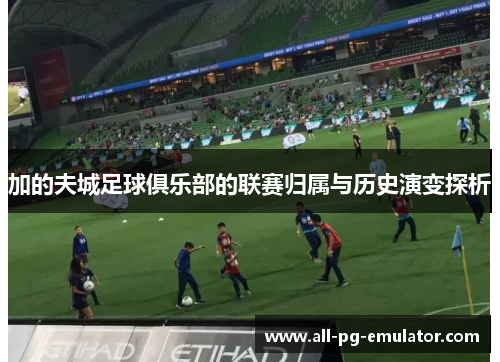 加的夫城足球俱乐部的联赛归属与历史演变探析