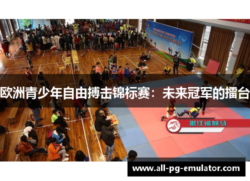 欧洲青少年自由搏击锦标赛:未来冠军的擂台 欧洲青少年自由搏击锦标赛:未来冠军的擂台